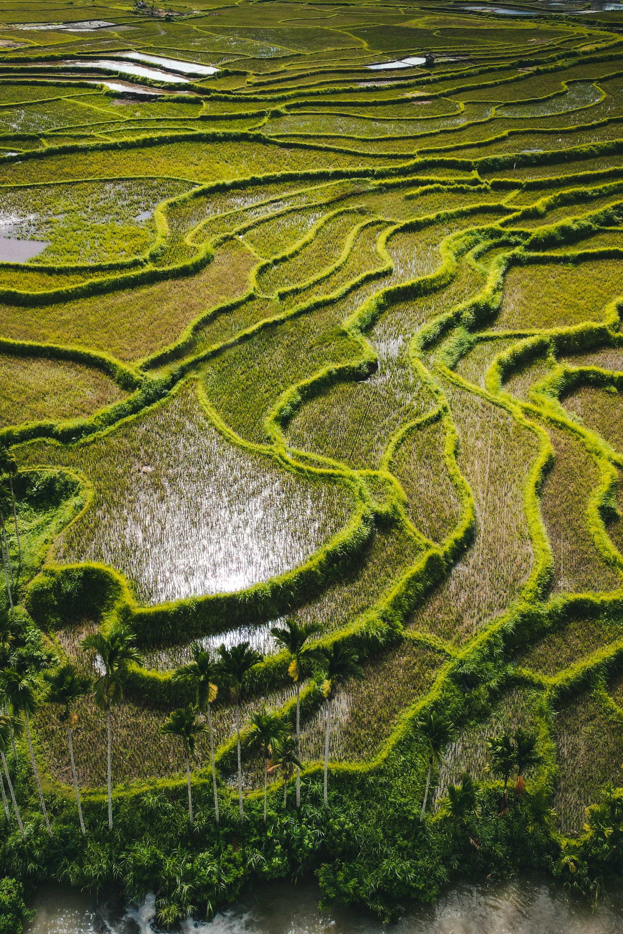 Sumba retriit — hetk Sumba saarelt 7