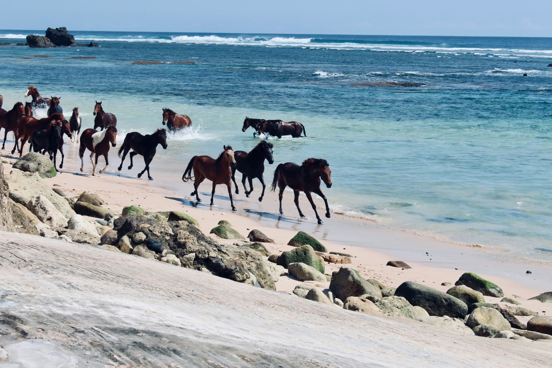 Sumba hobused rannas
